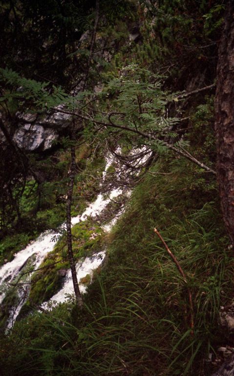 foto (230).jpg
